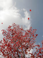 �g�t��т܂��I